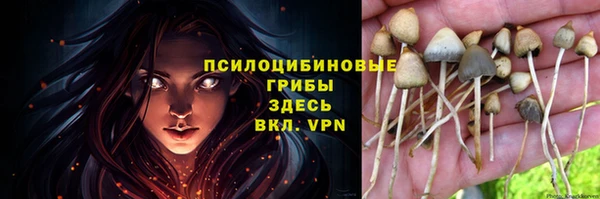 первитин Горно-Алтайск