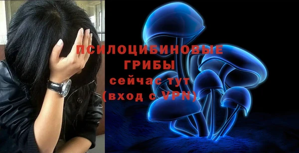 первитин Горно-Алтайск