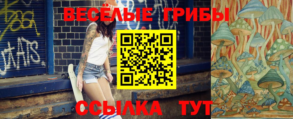 Псилоцибиновые грибы Psilocybe Шумерля