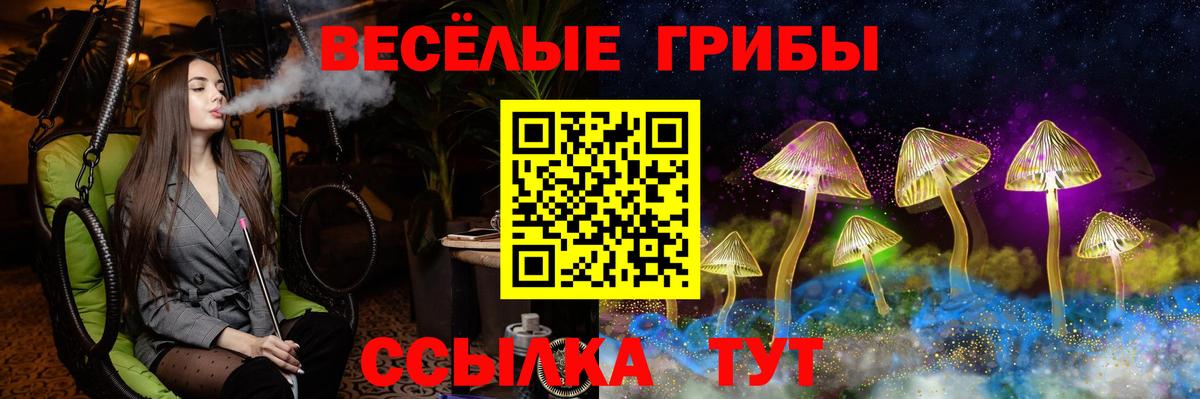 Псилоцибиновые грибы Psilocybe  Вход с VPN  Шумерля 