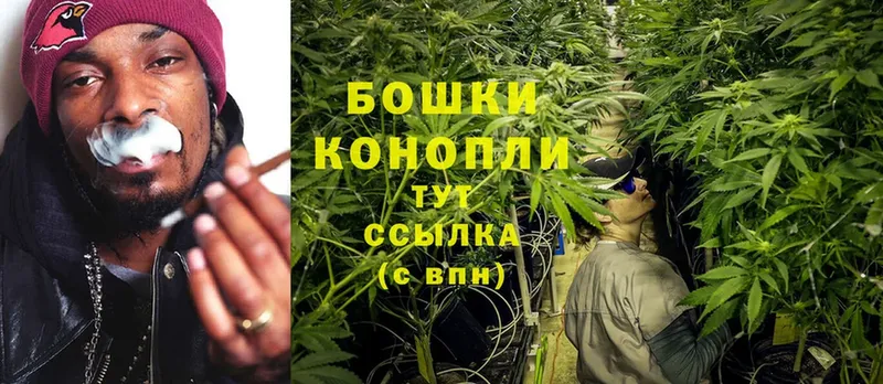 Каннабис OG Kush  закладки  Шумерля 